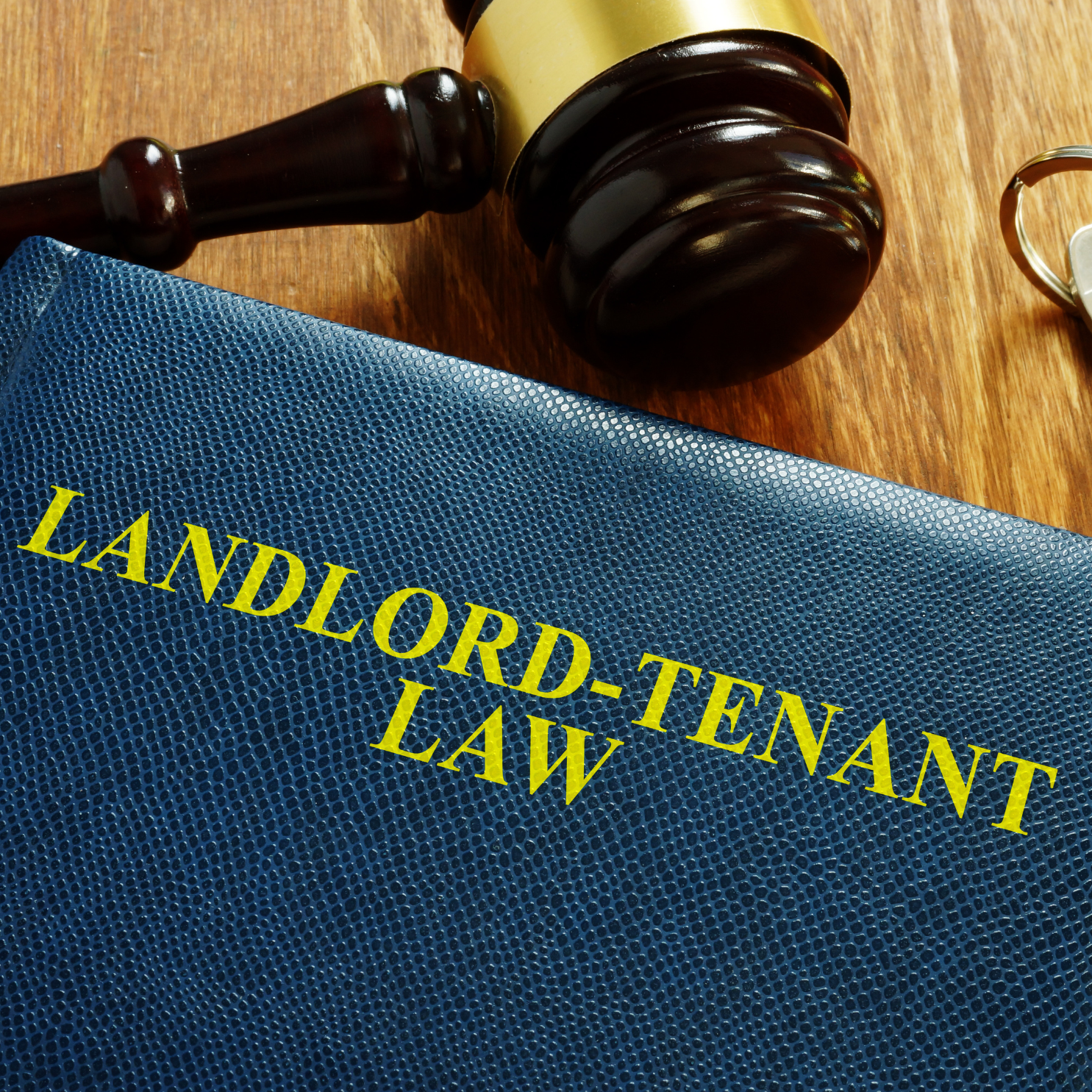 42 - HYPE Lettings | Sales | HMO