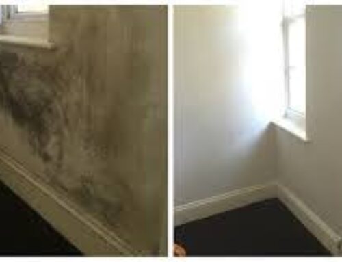 The Ultimate Guide to Preventing and Tackling Mould in Your Home